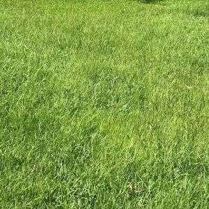 Meet your Posher, Pooh